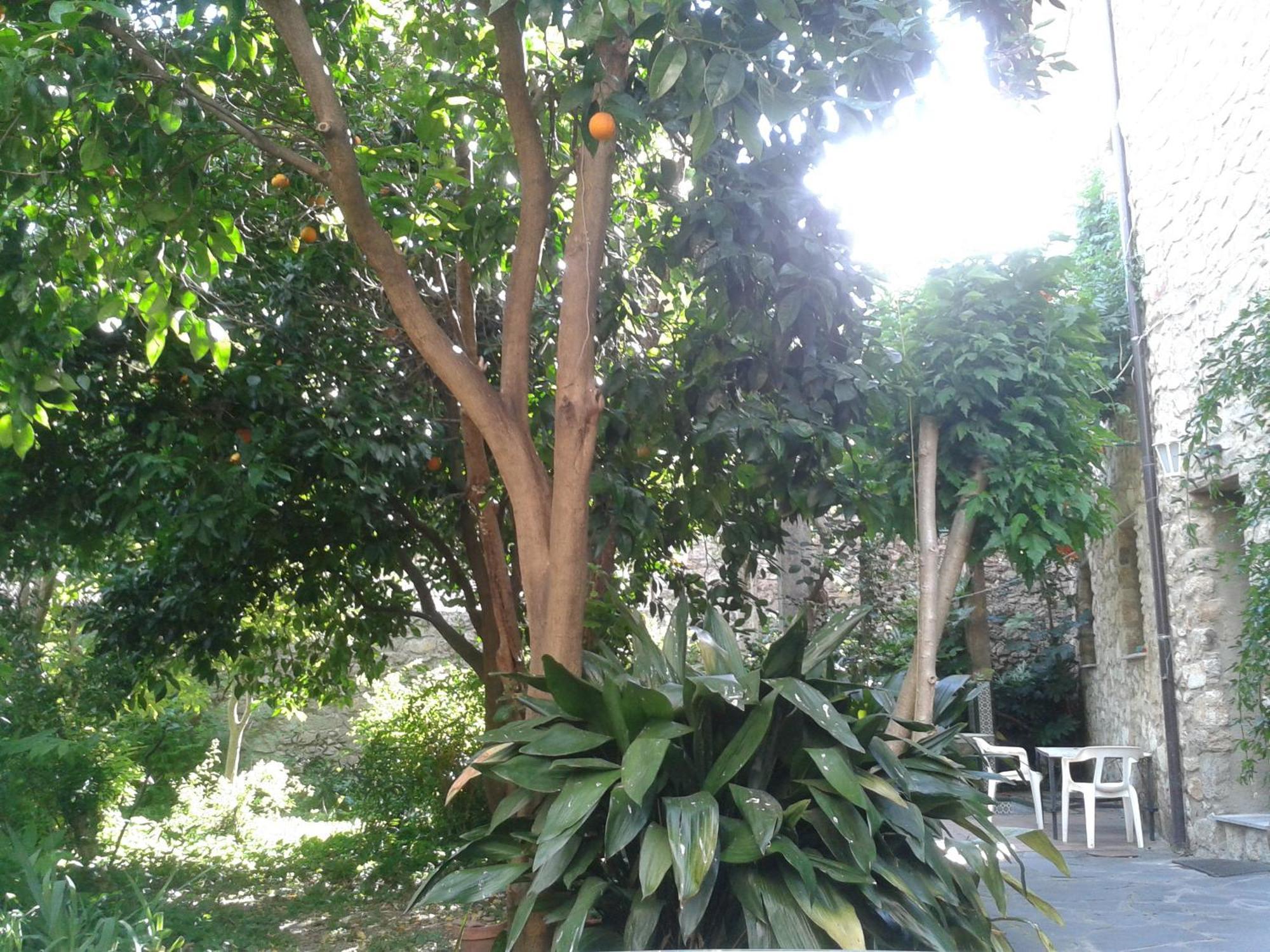 Casa Rural Corvina Acebo Buitenkant foto