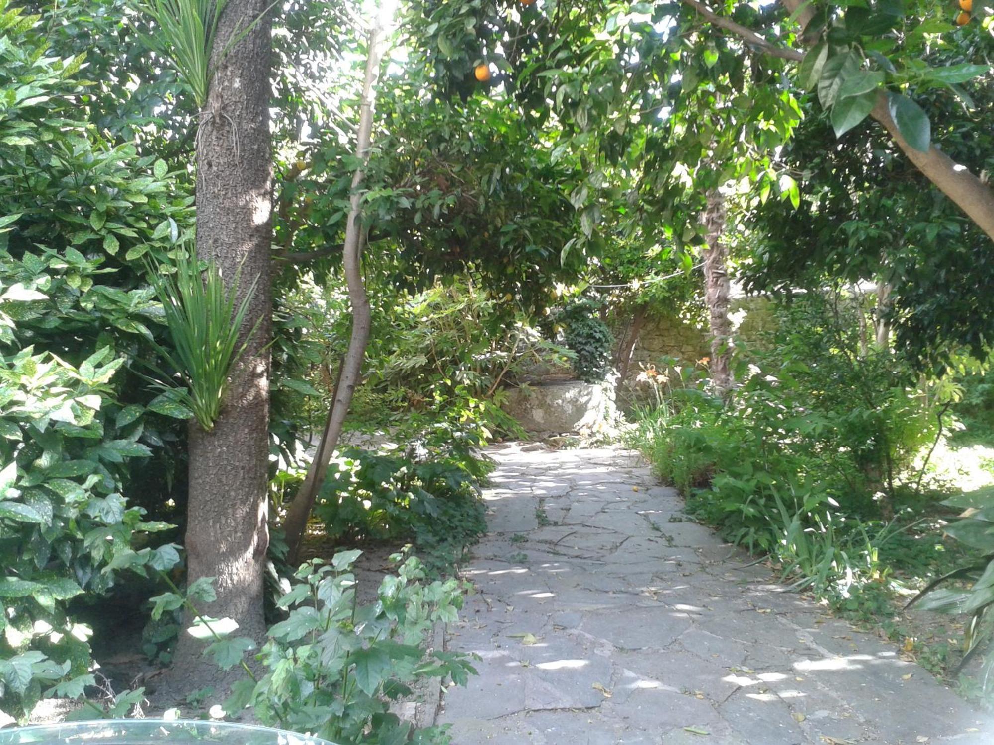 Casa Rural Corvina Acebo Buitenkant foto