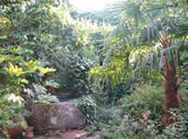 Casa Rural Corvina Acebo Buitenkant foto